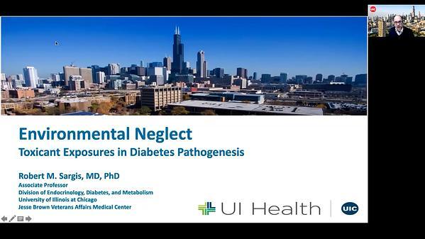 Environmantal NeglectToxicant Exposures in Diabetes Pathogenesis