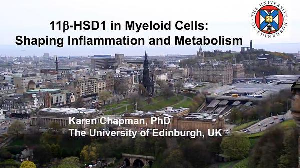 11ß-HSD1 in Myeloid Cells: Shaping Inflammation and Metabolism