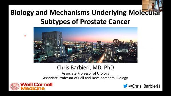 Biology and Mechanisms Underlying Molecular Subtypes of Prostate Cancer