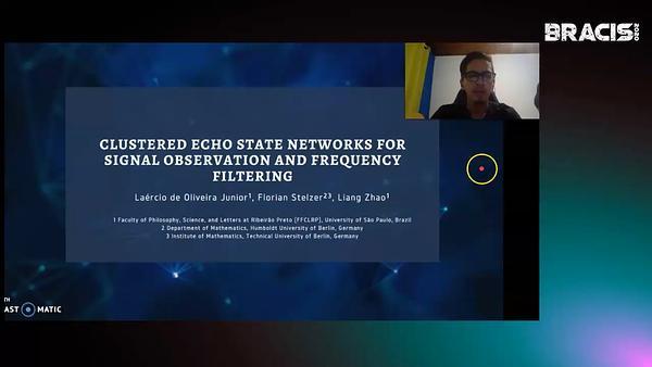 Clustered Echo State Networks for Signal Observation and Frequency Filtering