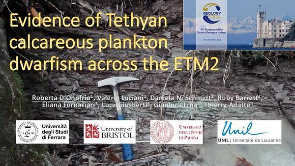 Evidence of Tethyan calcareous plankton dwarfism across the ETM2