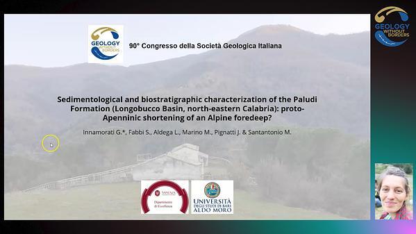 Sedimentological and biostratigraphic characterization of the Paludi Formation (Longobucco Basin, north-eastern Calabria): proto-Apenninic shortening of an Alpine foredeep?