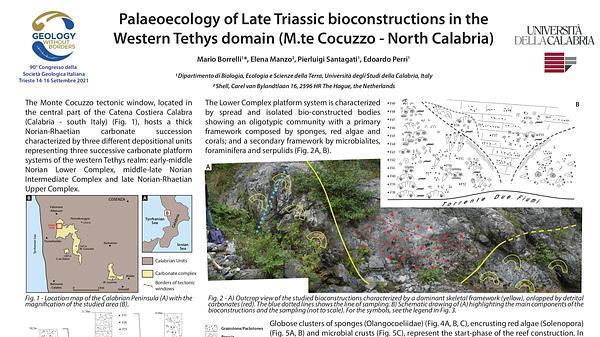 Palaeoecology of late Triassic bioconstructions in the Western Tethyan domain (M.te Cocuzzo - North Calabria)
