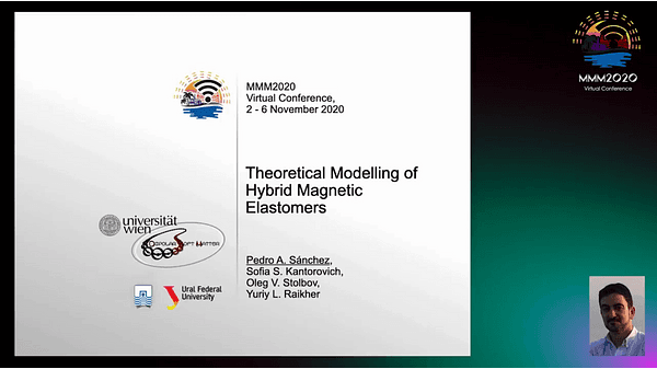Theoretical Modelling of Hybrid Magnetic Elastomers
