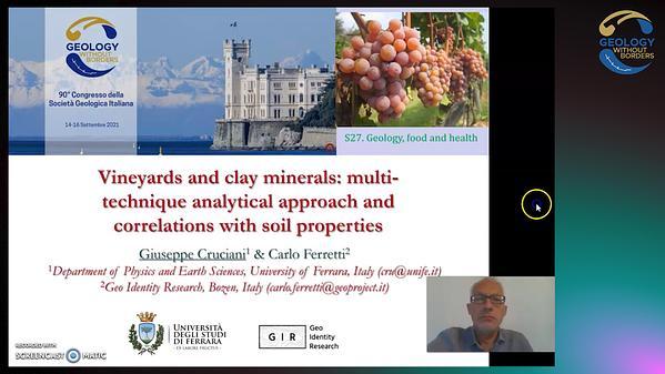 Vineyards and clay minerals: multi-technique analytical approach and correlations with soil properties