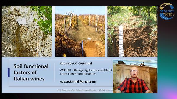Soil functional factors of Italian wines