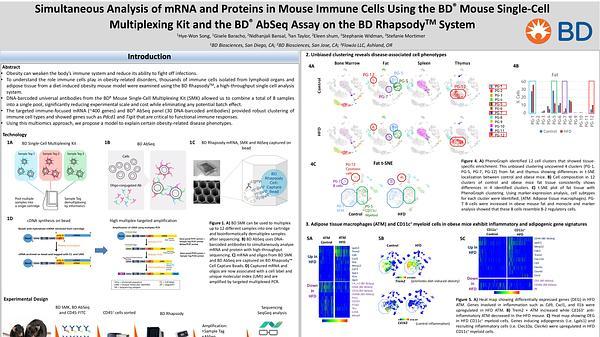 Simultaneous analysis of mRNA and proteins in mouse immune cells using the BD® Mouse Single-Cell Multiplexing Kit and the BD® AbSeq Assay on the BD Rhapsody™ System