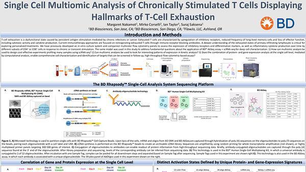 Single-cell multiomic analysis of chronically stimulated T cells displaying hallmarks of T cell exhaustion