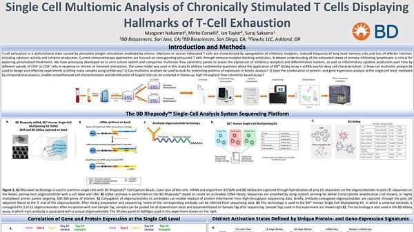 Single-cell multiomic analysis of chronically stimulated T cells displaying hallmarks of T cell exhaustion