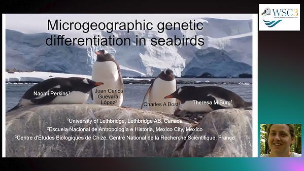 Microgeographic genetic differentiation in seabirds