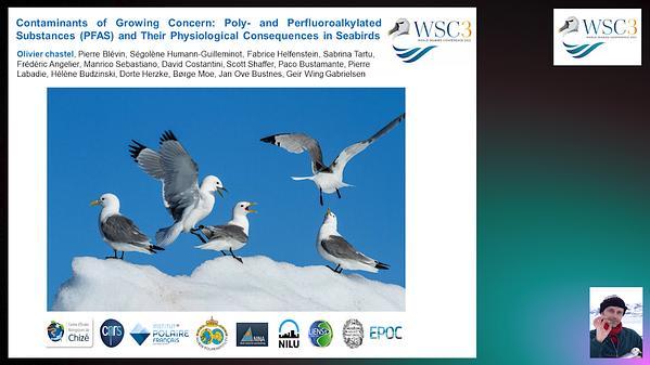 Contaminants of growing concern: Poly- and Perfluoroalkylated Substances (PFAS) and their physiological consequences in seabirds