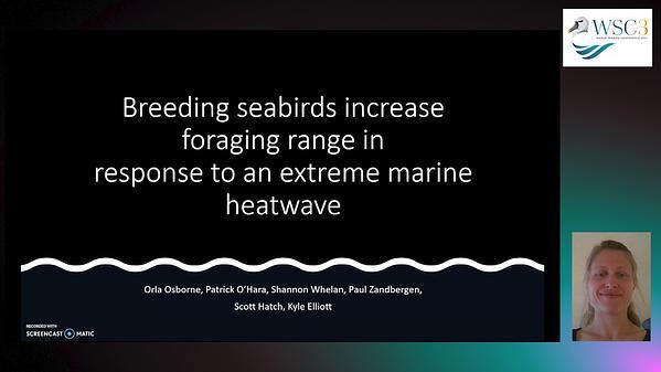 Breeding seabirds increase foraging range in response to an extreme marine heatwave