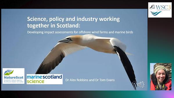 Science, policy and industry working together in Scotland to develop impact assessments for offshore wind farms and marine birds
