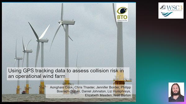 Using GPS tracking data to assess collision risk in an operational wind farm