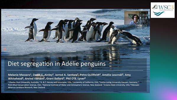 Diet segregation in Adélie penguins: some individuals attempt to overcome colony-induced and annual foraging challenges