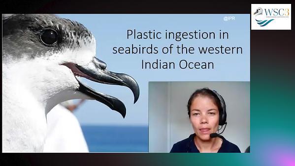 Plastic ingestion in seabirds of the western Indian Ocean