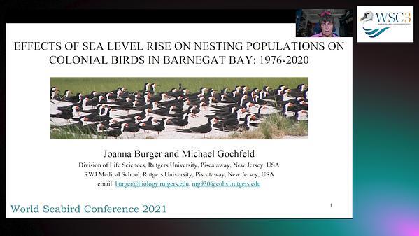 Effects of Sea Level Rise on Nesting Populations of Colonial Birds in Barnegat Bay: 1976 to 2020