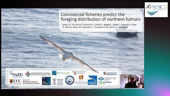 Fishing effort as a covariate in predicting the at-sea distribution of a vessel-attending seabird
