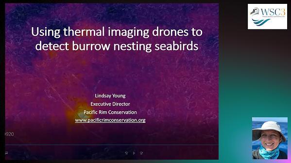 Using Thermal Imaging Drones To Survey Cryptic Burrow-nesting Seabirds