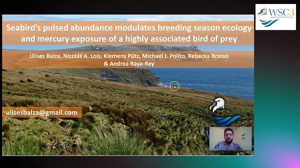 Seabird's pulsed abundance modulates breeding season ecology and mercury exposure of a highly associated bird of prey