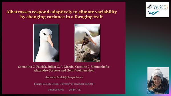 Does personality mediate the reproductive consequences of broad-scale climate phenomena?