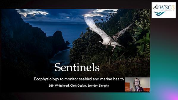 Sentinels: The potential for seabirds to monitor marine change in the Hauraki Gulf, New Zealand