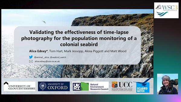 Validating the effectiveness of time-lapse photography for the population monitoring of a colonial seabird