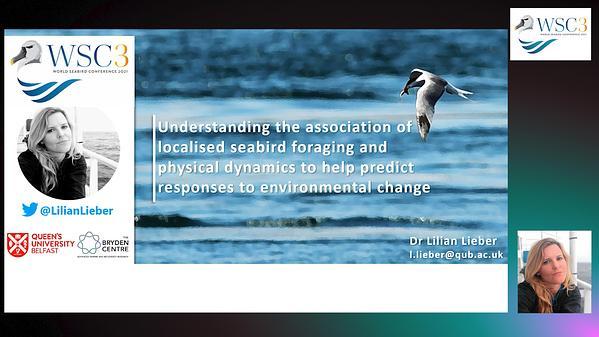 Understanding the association of localised seabird foraging and physical dynamics to help predict responses to environmental change