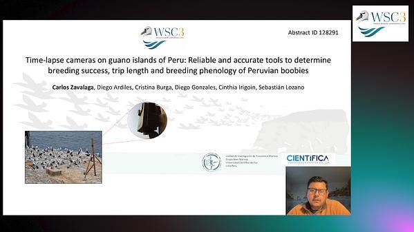 Time-lapse cameras on guano islands of Peru: Reliable and accurate tools to determine breeding sucess, trip length and breeding phenology of Peruvian boobies
