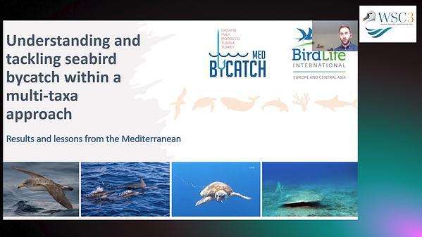 Understanding and tackling seabird bycatch within a multi-taxa approach - results and lessons from the Mediterranean