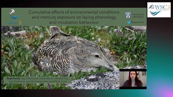 Cumulative effects of environmental conditions and mercury exposure on laying phenology and incubation behaviour