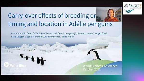 Carry-over effects of breeding on molt timing and migration starting location in Adélie penguins