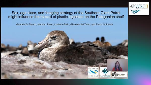 Sex, age class, and foraging strategy of the Southern Giant Petrel might influence the hazard of plastic ingestion on the Patagonian shelf