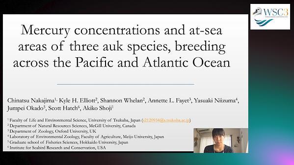 Mercury contaminations and at-sea areas of three auk species, breeding across the Pacific and Atlantic oceans