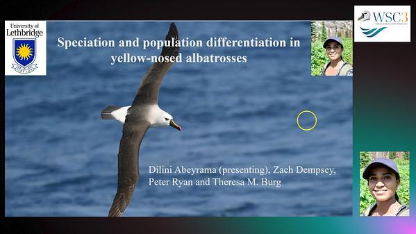 Speciation and population differentiation in yellow-nosed albatrosses