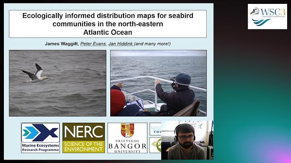 Ecologically informed distribution maps for seabird communities in the north-eastern Atlantic Ocean