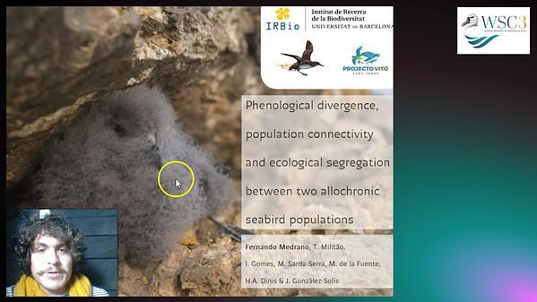 Phenological divergence, population connectivity and ecological segregation between two allochronic seabird populations