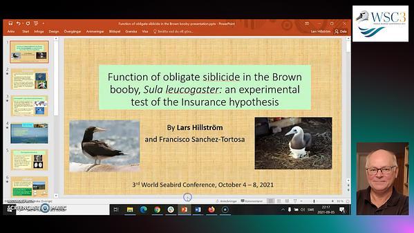 Function of obligate siblicide in the Brown booby, Sula leucogaster: an experimental test of the Insurance hypothesis.