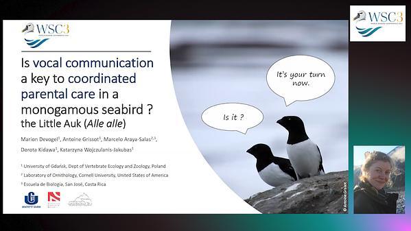 Should I stay or should I go: Is vocal communication a key to coordinated parental care in a monogamous seabird, the Little Auk (Alle alle) ?