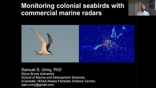 Monitoring colonial seabirds with commercial marine radars