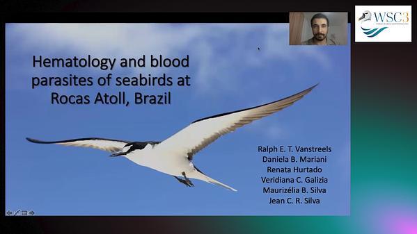 Hematology and blood parasites of seabirds at Rocas Atoll, Brazil