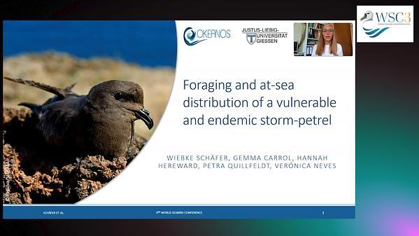 Foraging and at-sea distribution of a vulnerable and endemic storm-petrel