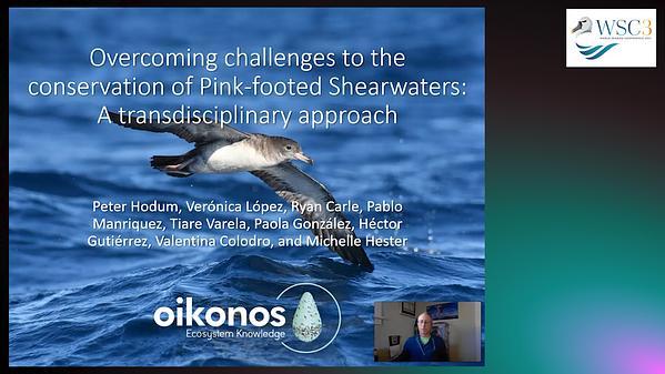 Overcoming challenges to the conservation of Pink-footed Shearwaters: A transdisciplinary approach