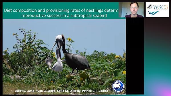 Diet composition and provisioning rates of nestlings determine reproductive success in a subtropical seabird