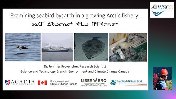 Seabird bycatch in the eastern Canadian Arctic