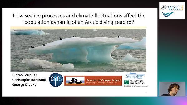 How sea ice processes and climate fluctuations affect the demography an Arctic diving seabird?