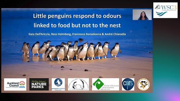 Little penguins respond to odours linked to food but not to the nest
