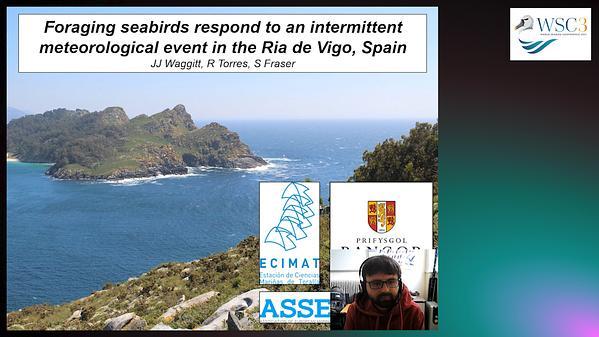 Foraging seabirds respond to an intermittent meteorological event in the Ria de Vigo, Spain.