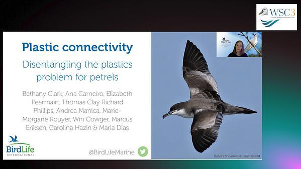 Plastic connectivity: disentangling the problem of plastic pollution for pelagic seabirds