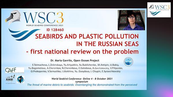 Seabirds and plastic pollution in the Russian seas - first national review on the problem